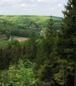 Blick über Wälder in Richtung Oberweiler